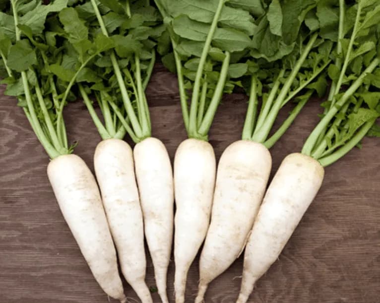 White Radish